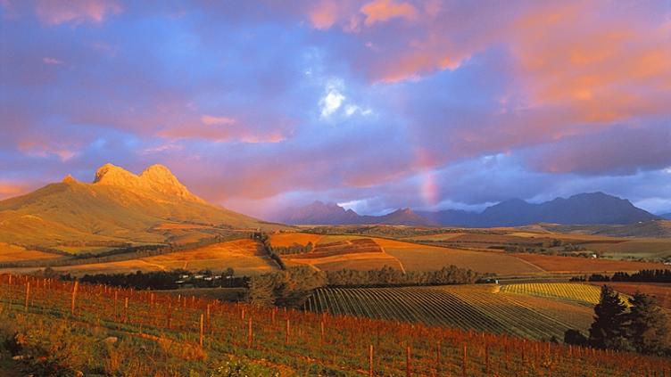 Echappée romantique - Cape Town et safaris d'exception 5