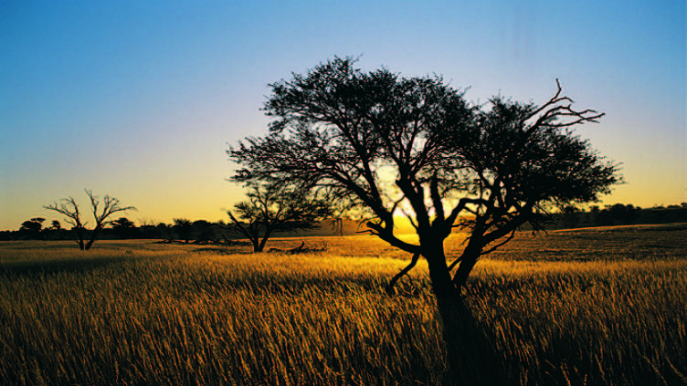 L'aventure en famille De Johannesbourg à Durban, 4
