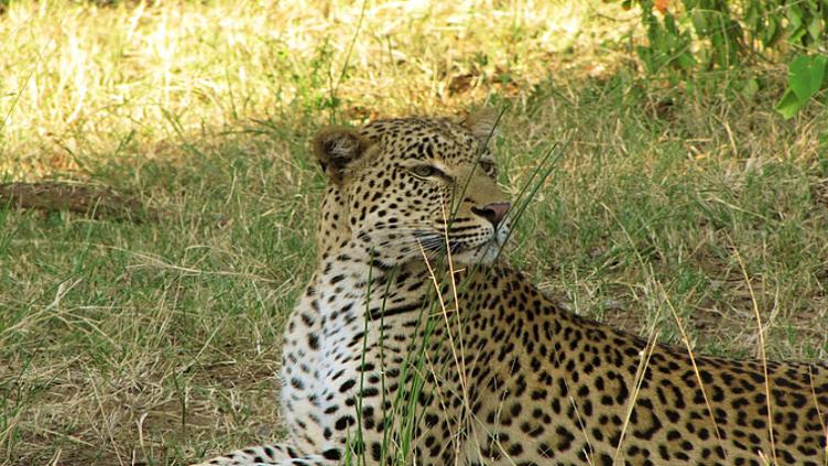 L'aventure en famille De Johannesbourg à Durban, 7