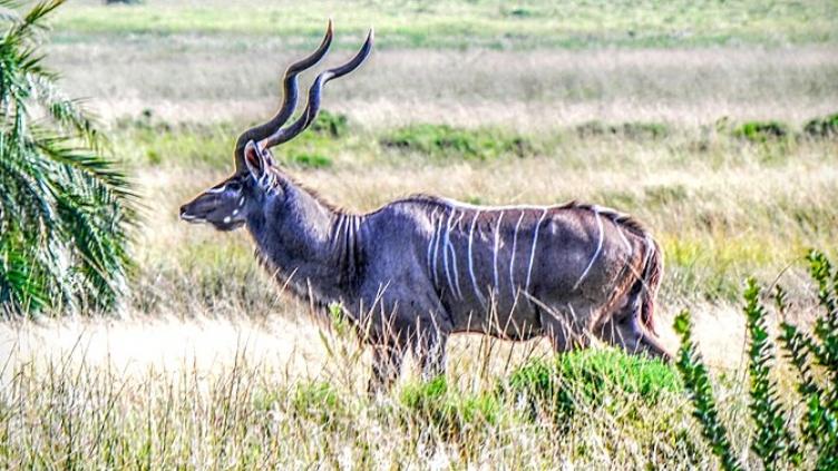 L'aventure en famille De Johannesbourg à Durban, 10