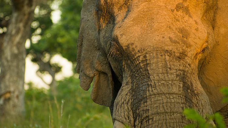 L'aventure en famille De Johannesbourg à Durban, 8