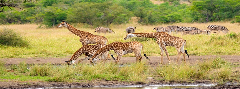 Voyage de noces insolite 2
