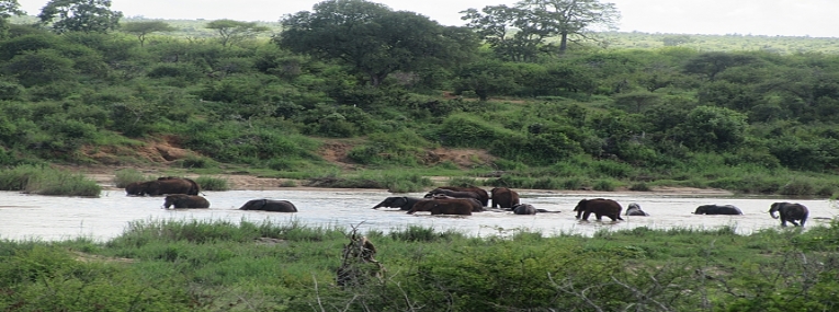 Voyage de noces insolite 4