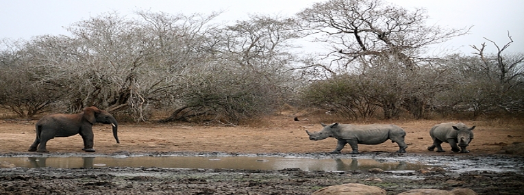 Voyage de noces insolite 5