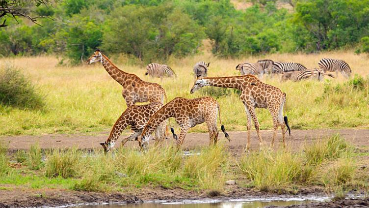 Voyage de noces insolite 2