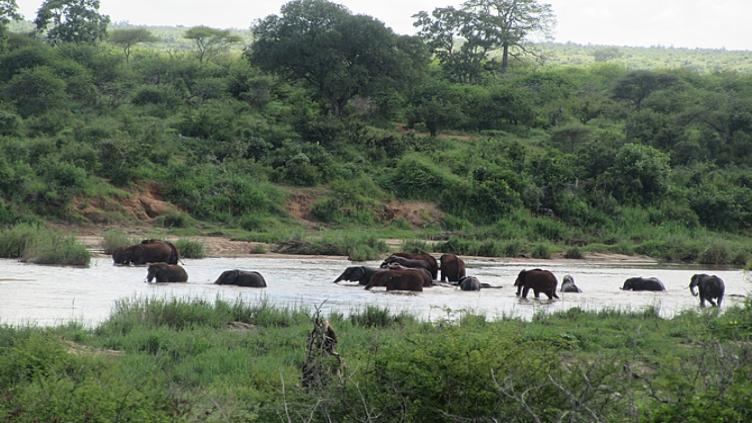 Voyage de noces insolite 5