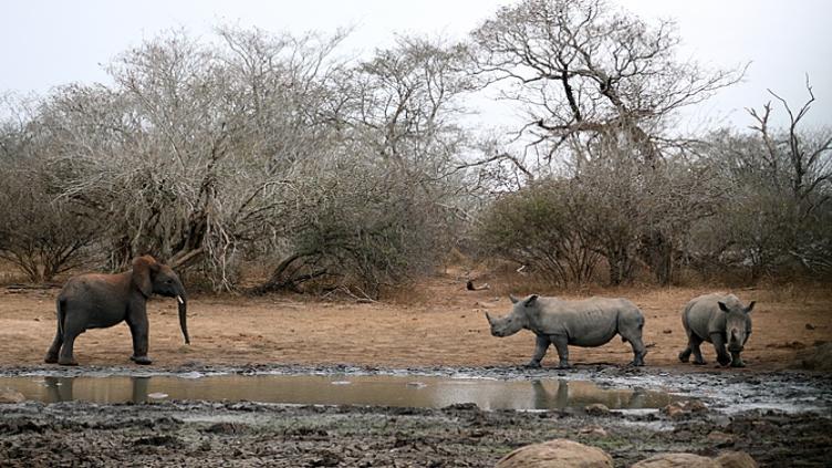 Voyage de noces insolite 6