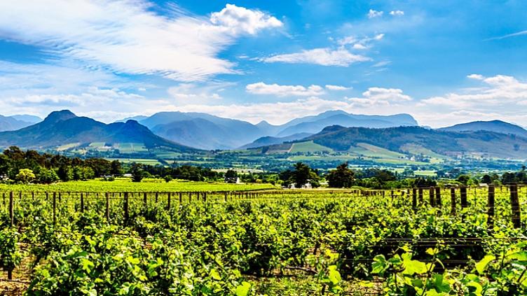Voyage de noces insolite 10
