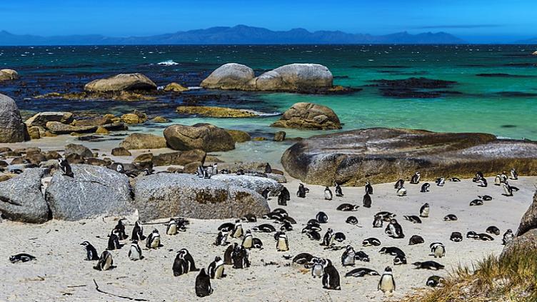 En famille: Route des jardins et safaris 4