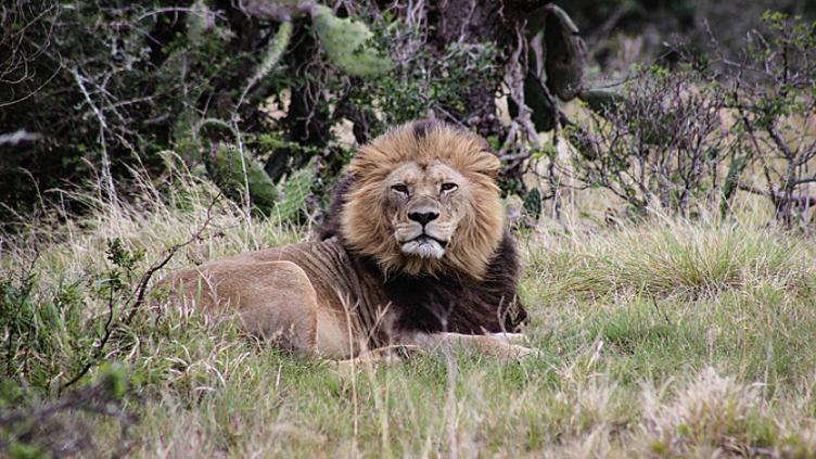 En famille: Route des jardins et safaris 6