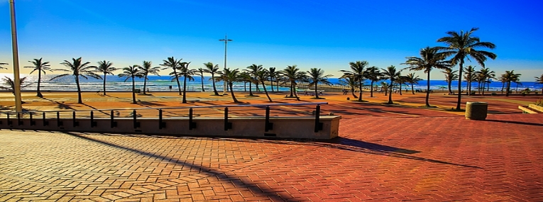 Safaris et plongées Afrique du Sud et Mozambique 6