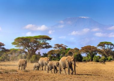 Afrique du Sud Hors des sentiers battus Safaris en terre Tsonga