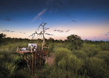 Cape Town, Kruger et mers turquoises du Mozambique