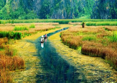 Excursion à Van Long et à Kenh Ga