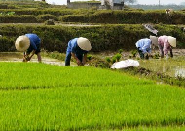 Hué - Artiste, paysans et empereurs de Hué