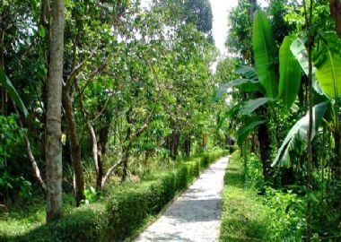 Hué - Thuy Bieu : village des pamplemoussiers