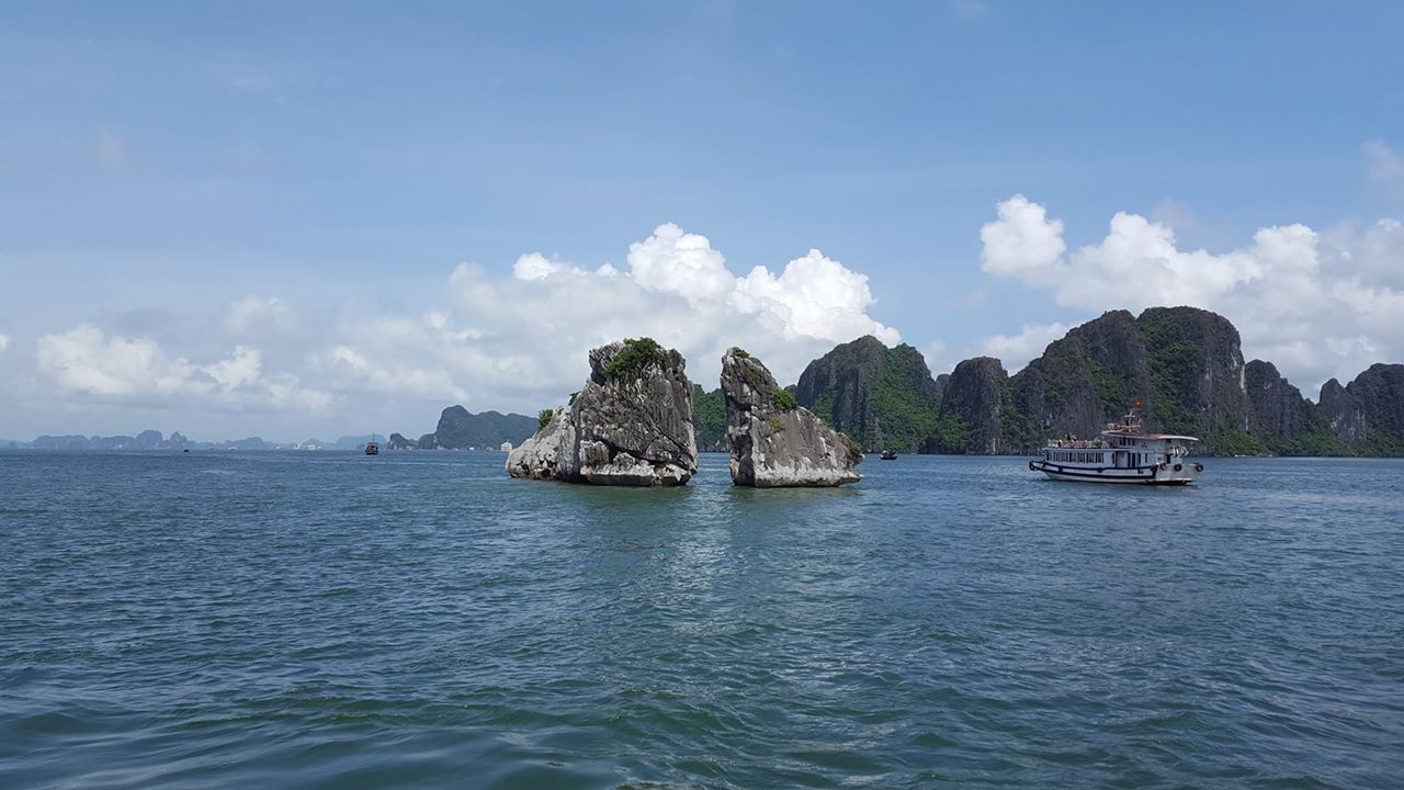 le fameux ilot de coq de combat