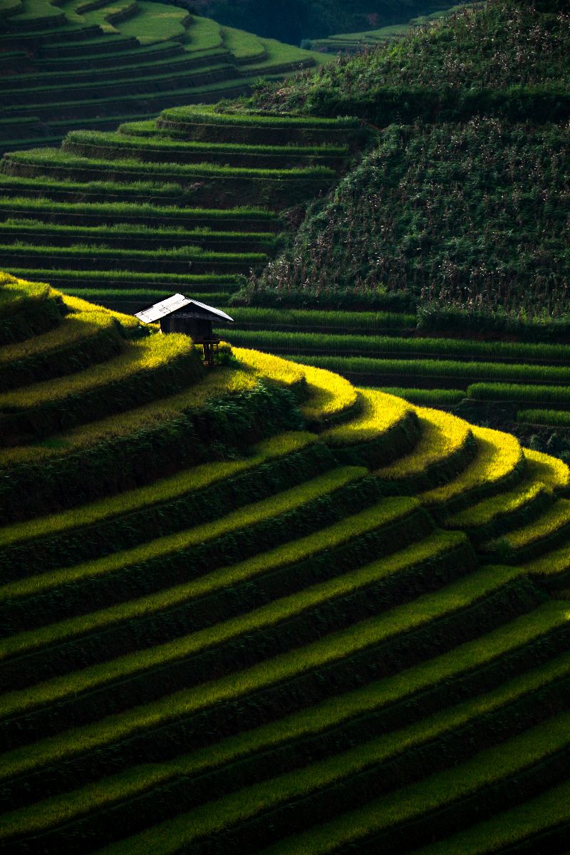 mu cang chai