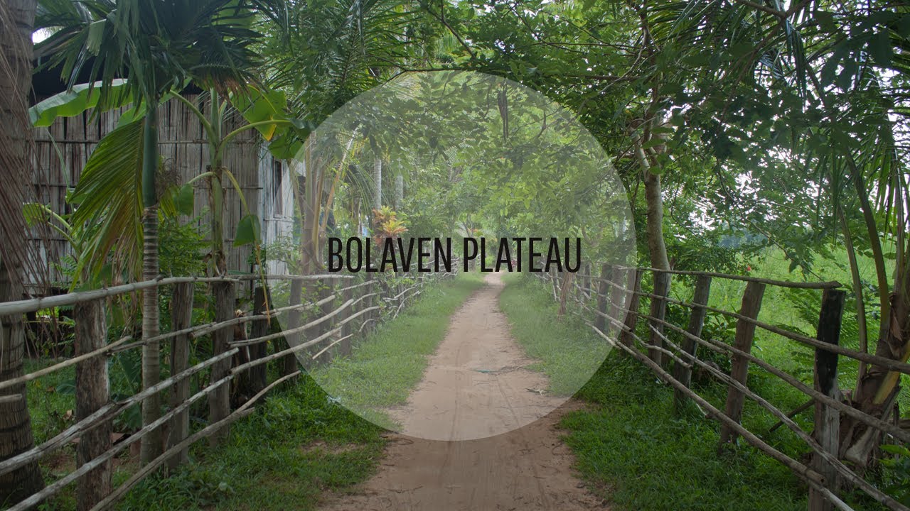 plateaubolaven